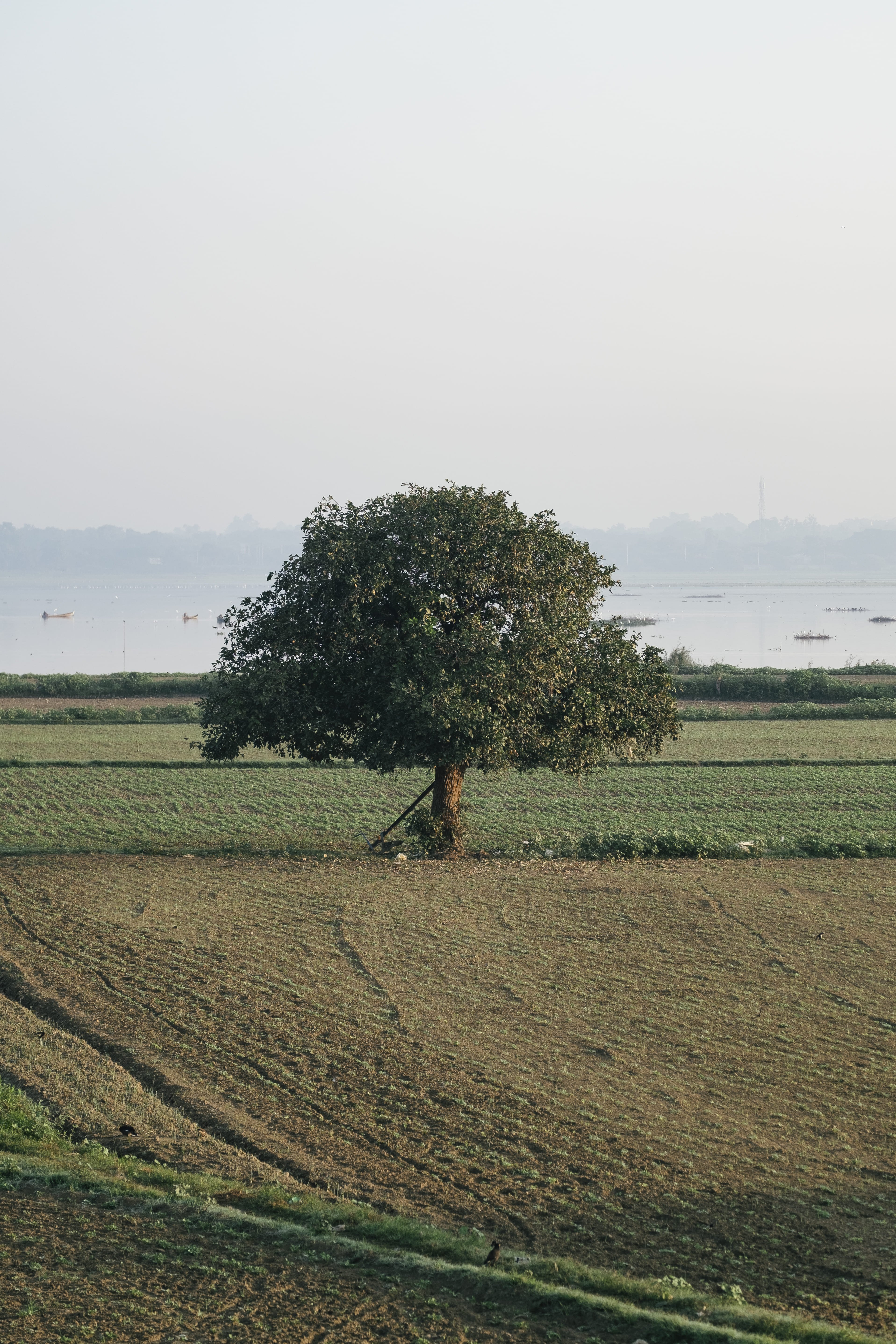 monsaraz