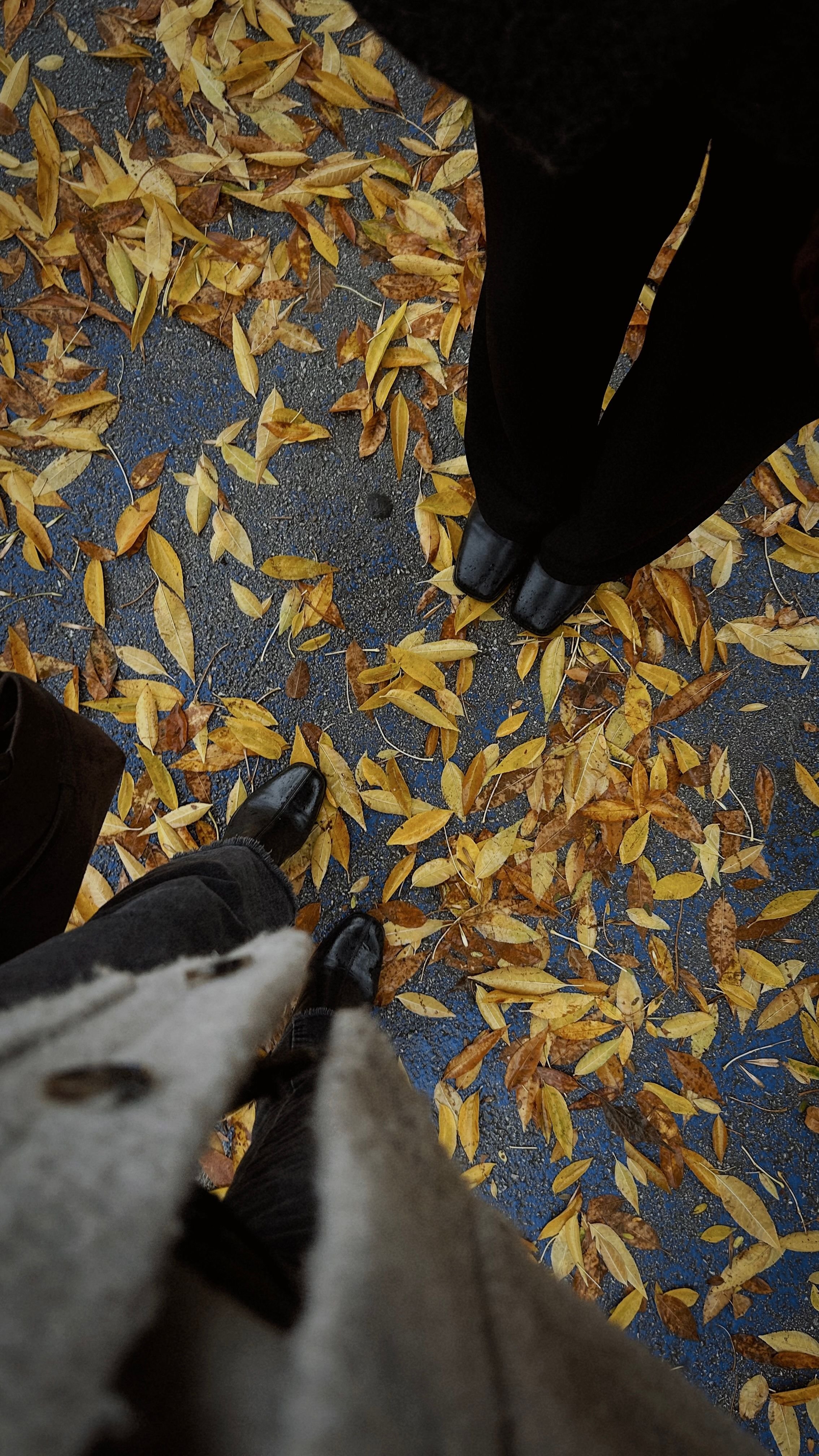 pexels-buusecolak-34405787